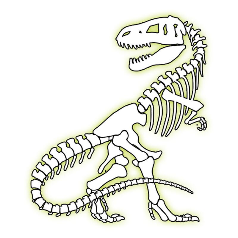 Dinosaur Skeleton GID